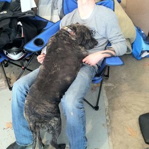 Meet your Posher, Jonathan